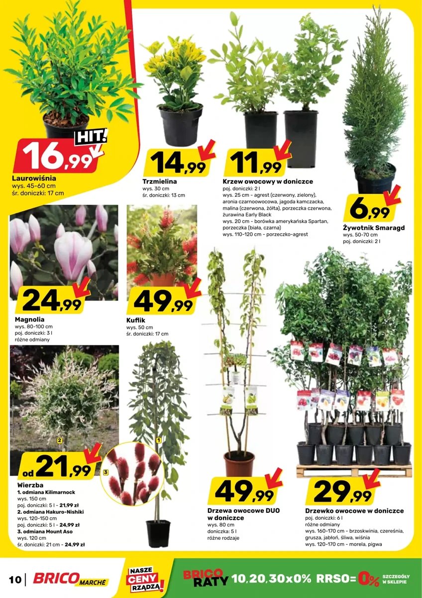 Strona 10 z gazetki Bricomarche