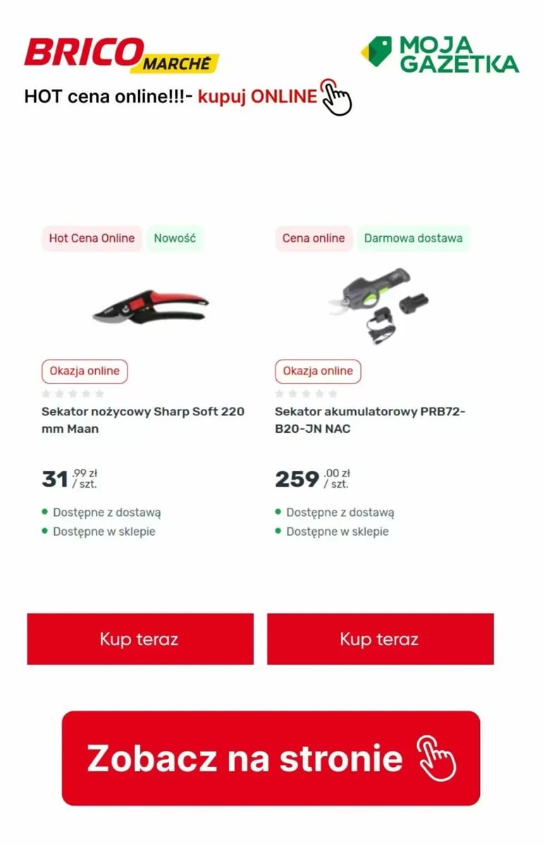 Strona 4 z gazetki Bricomarche