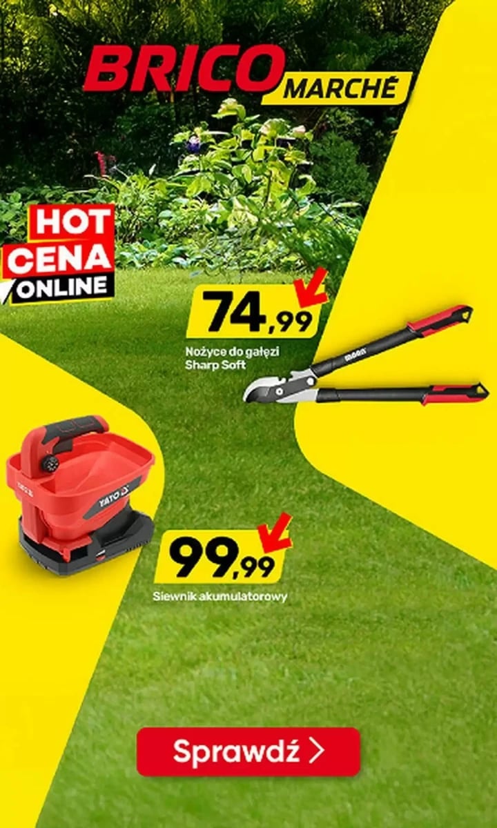 Strona 1 z gazetki Bricomarche