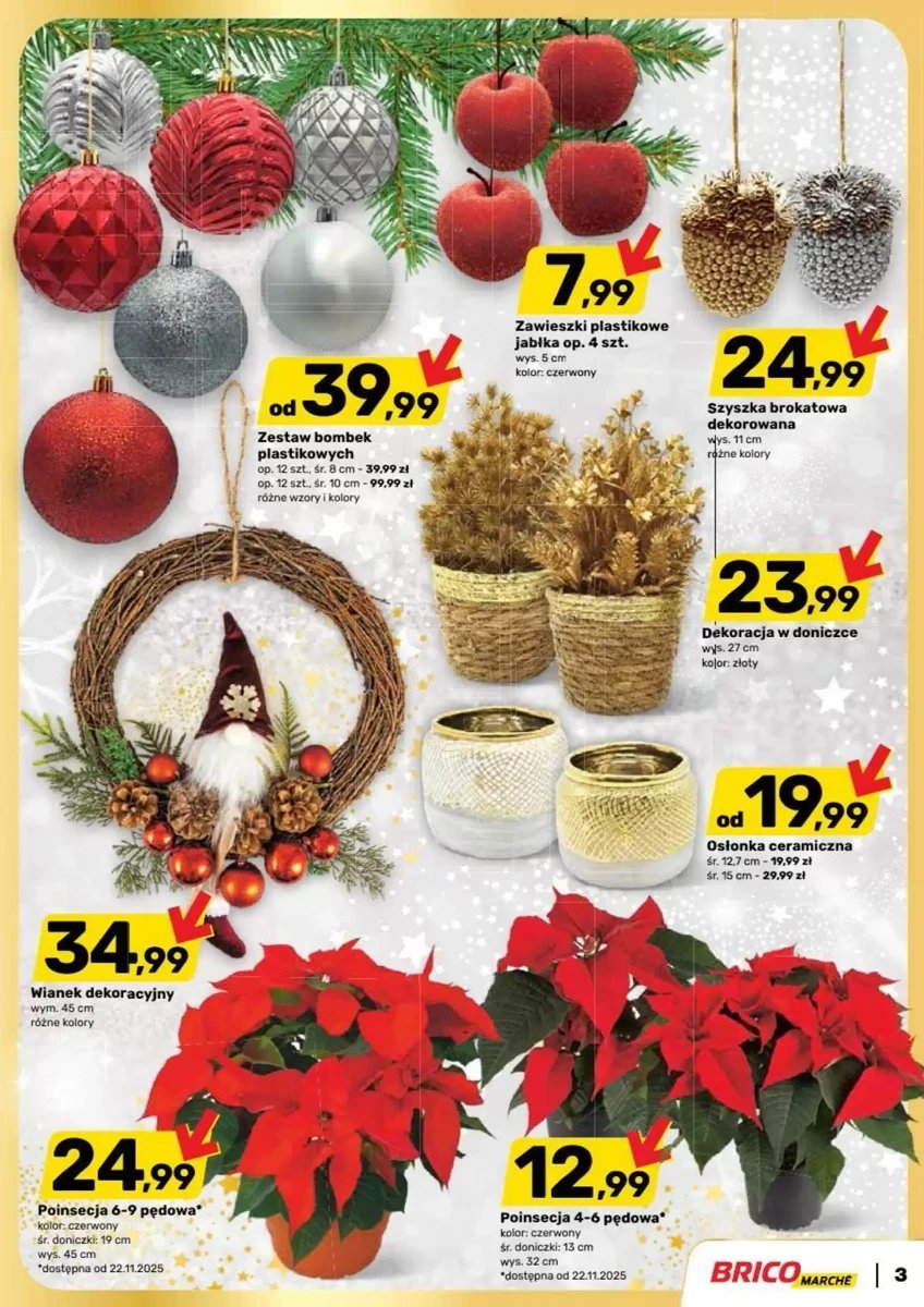 Strona 3 z gazetki Bricomarche