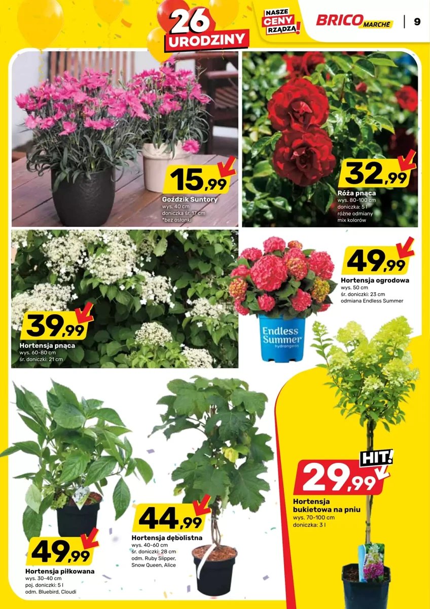 Strona 9 z gazetki Bricomarche