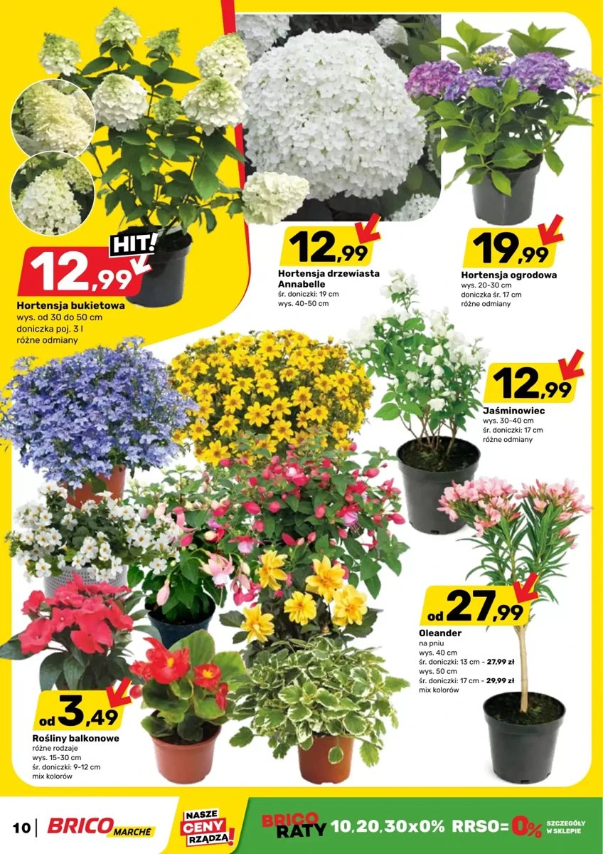 Strona 10 z gazetki Bricomarche