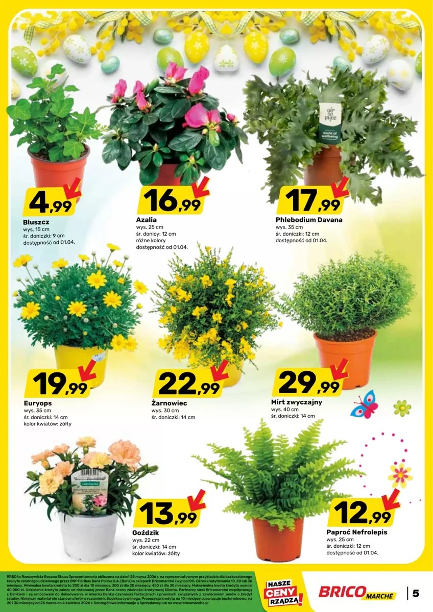 Strona 5 z gazetki Bricomarche