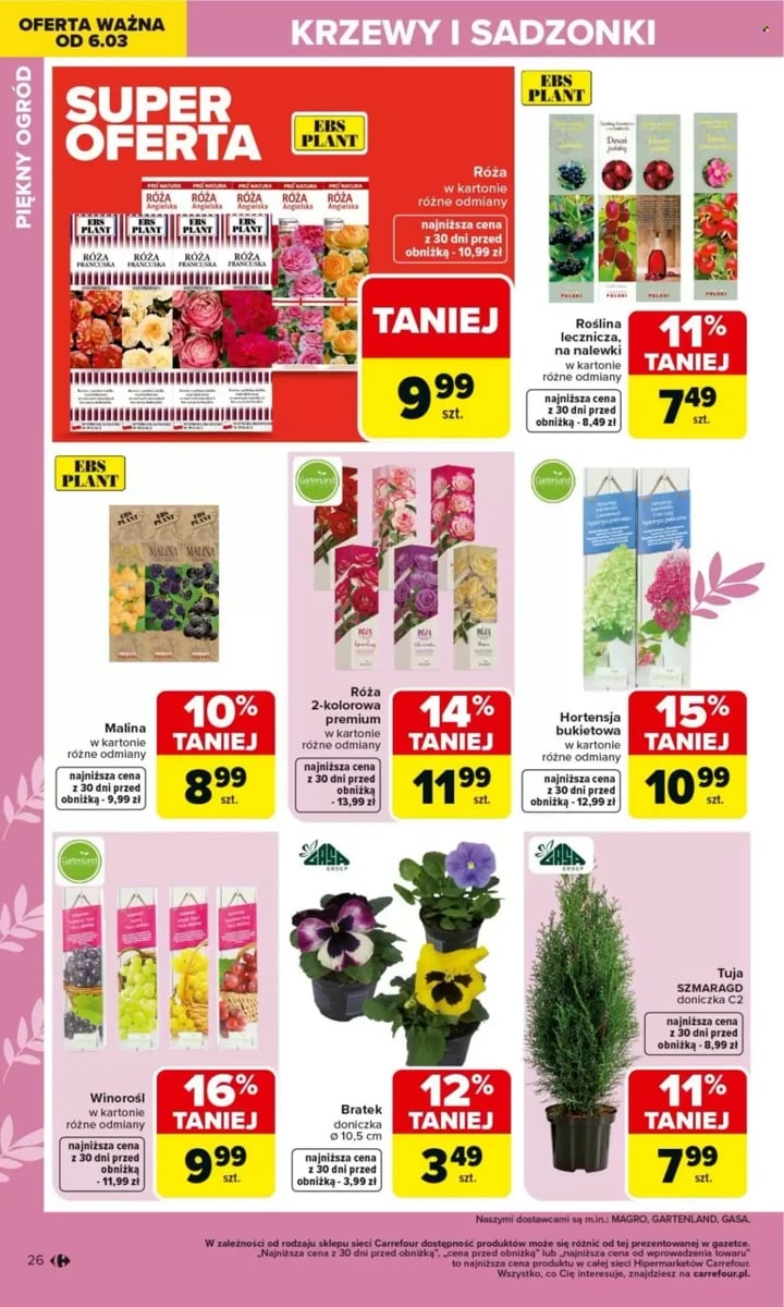 Strona 26 z gazetki Carrefour
