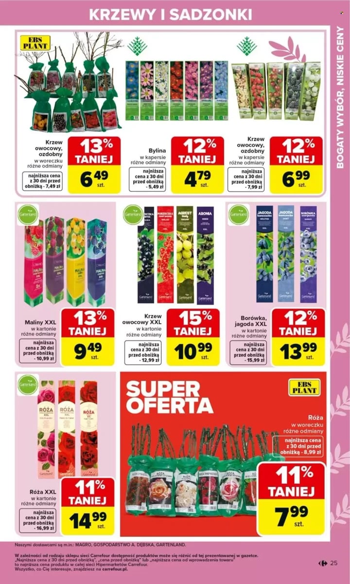 Strona 25 z gazetki Carrefour