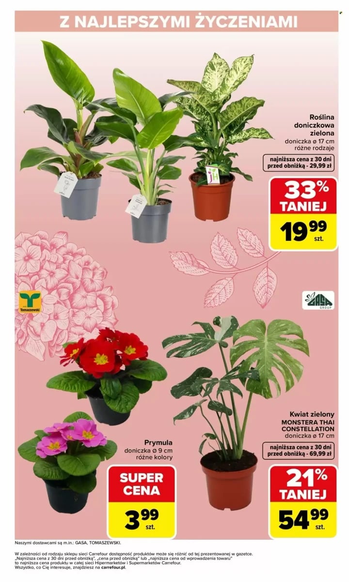Strona 3 z gazetki Carrefour