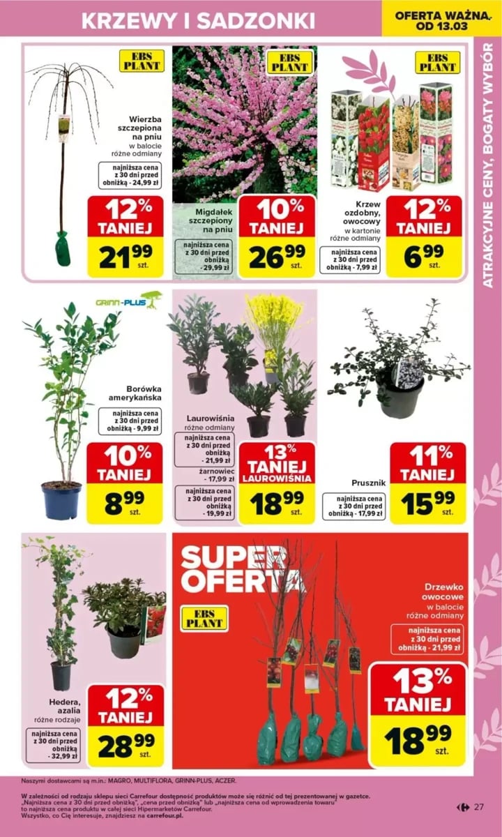 Strona 27 z gazetki Carrefour
