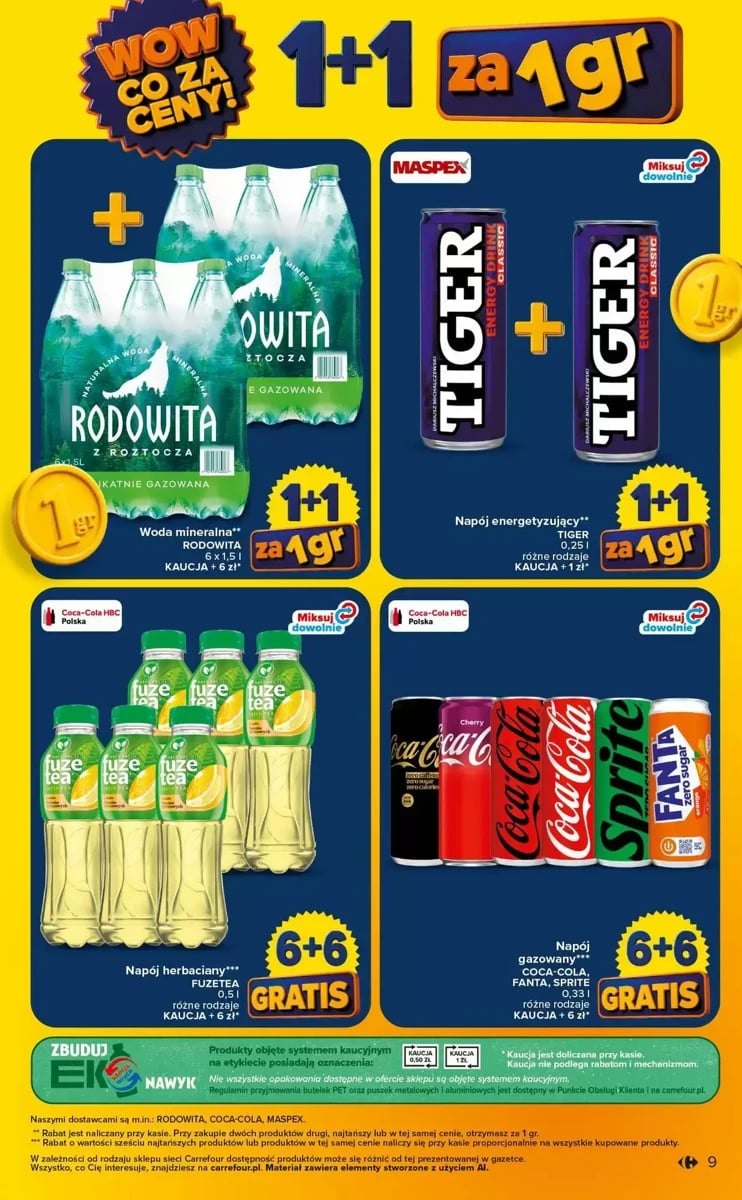 Strona 9 z gazetki Carrefour