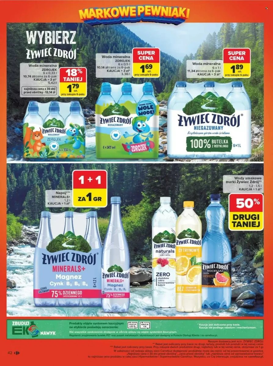 Strona 44 z gazetki Carrefour