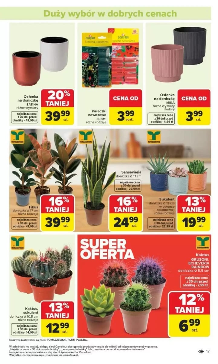 Strona 17 z gazetki Carrefour