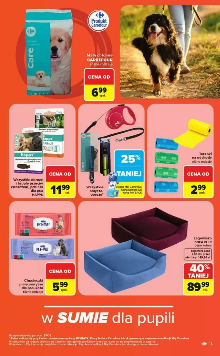 Strona 13 z gazetki Carrefour