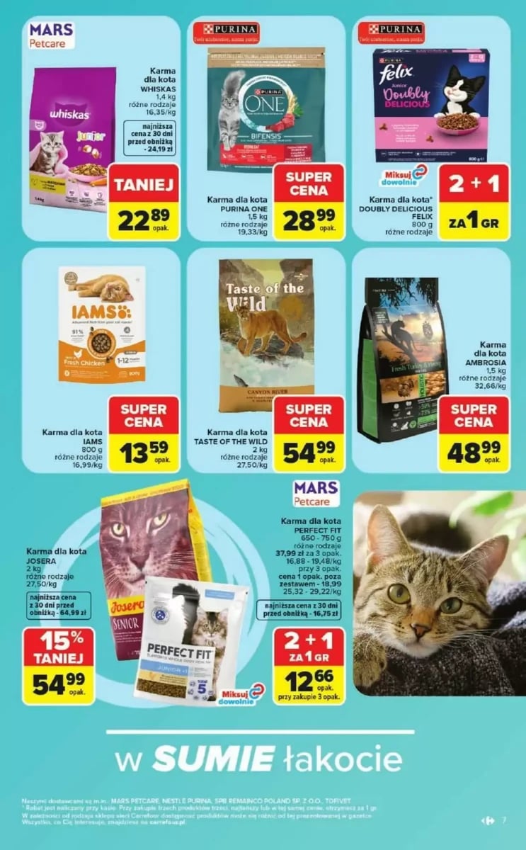 Strona 7 z gazetki Carrefour