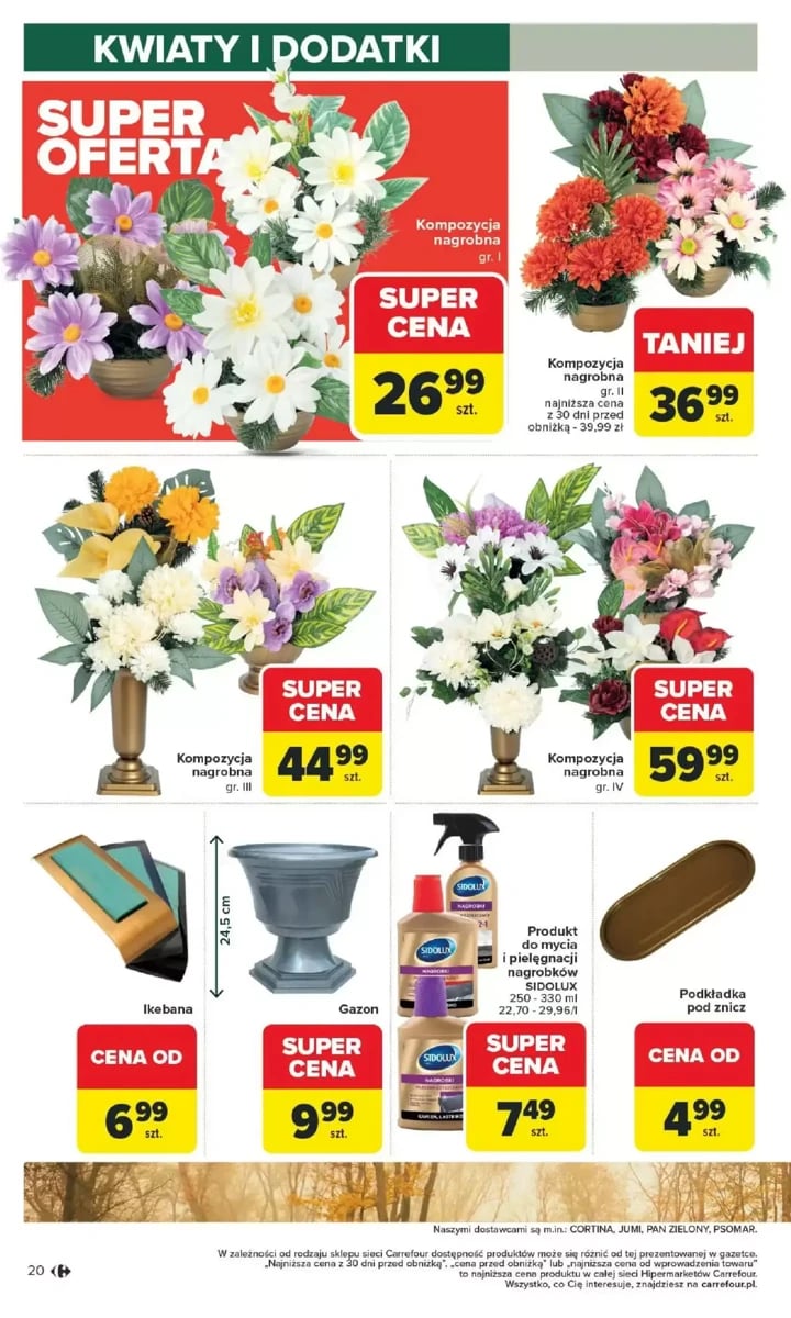 Strona 20 z gazetki Carrefour