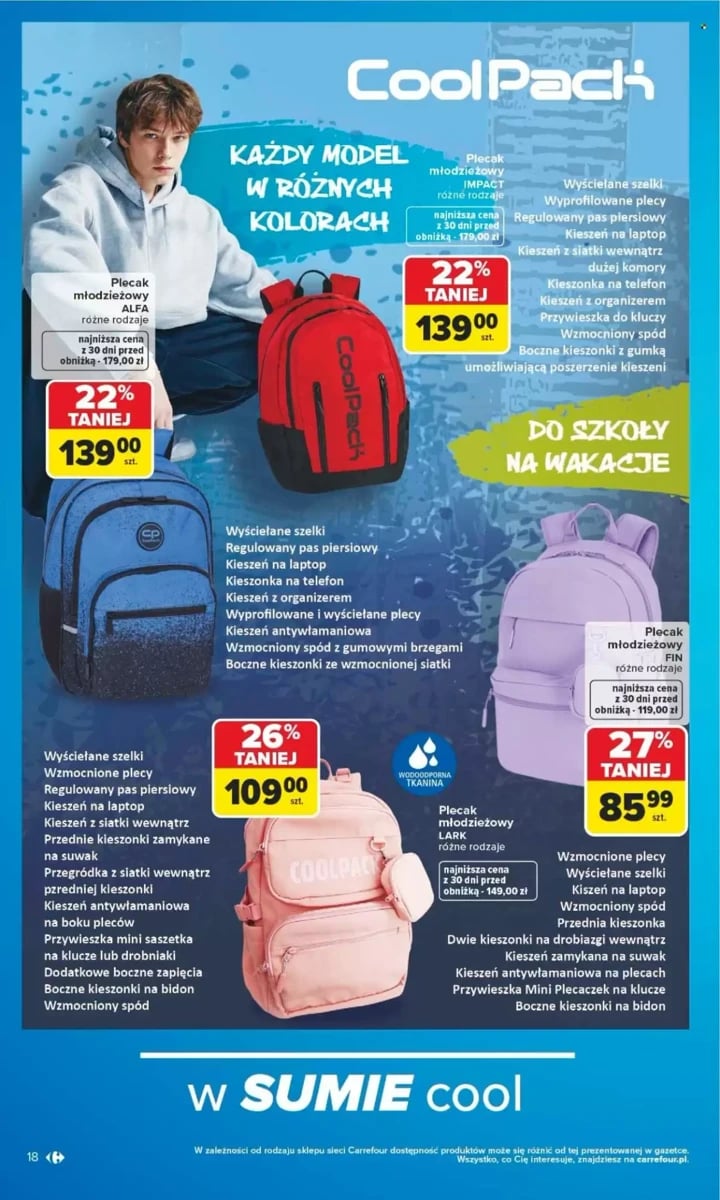 Strona 18 z gazetki Carrefour