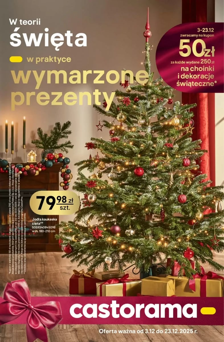 Strona 1 z gazetki Castorama