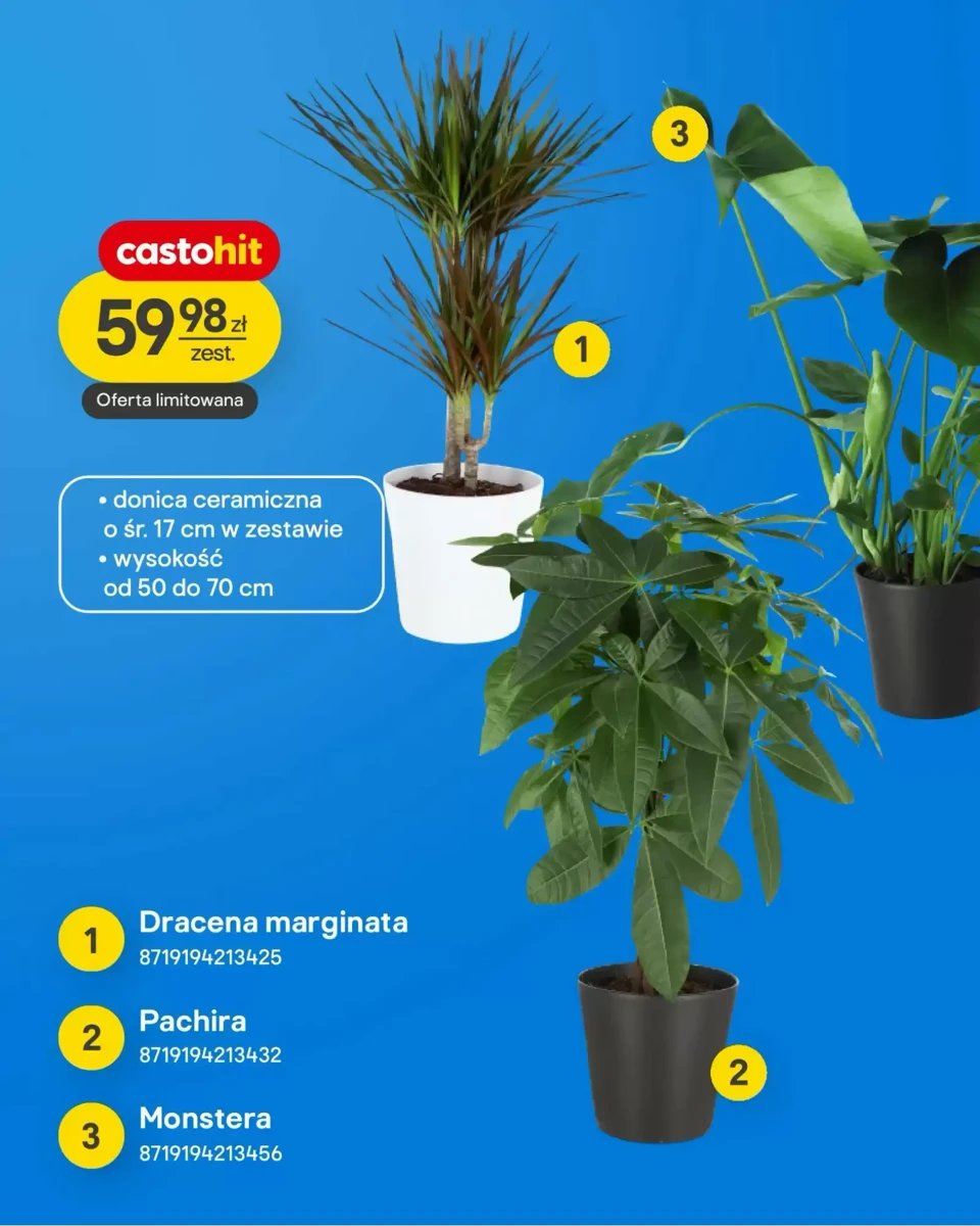 Strona 10 z gazetki Castorama