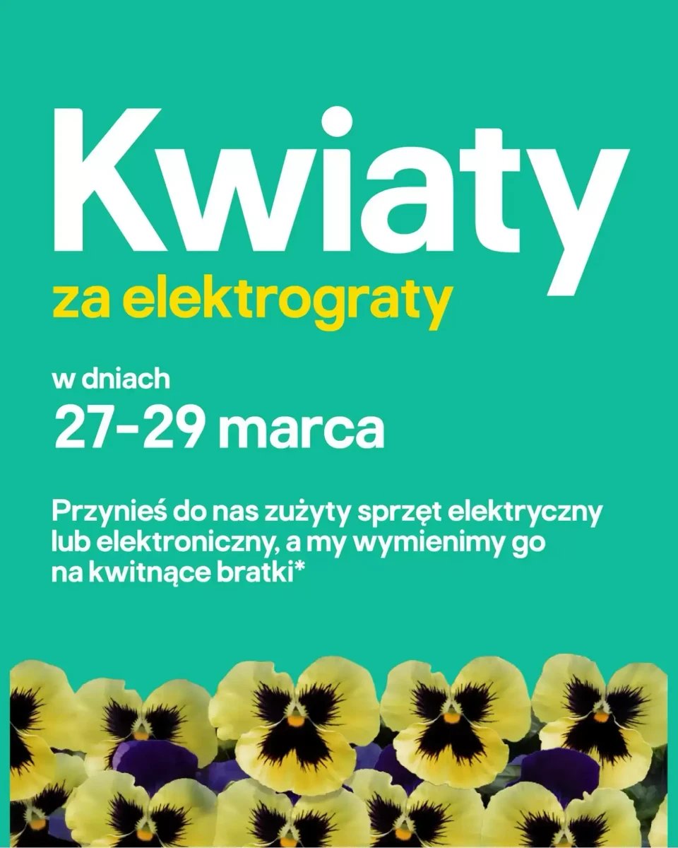 Strona 2 z gazetki Castorama