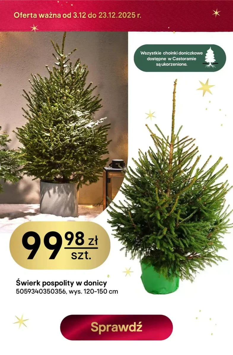 Strona 7 z gazetki Castorama