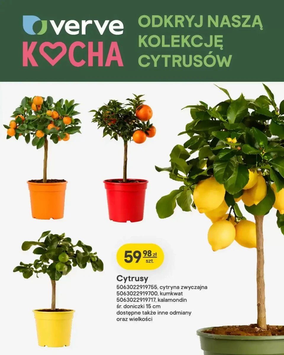 Strona 6 z gazetki Castorama
