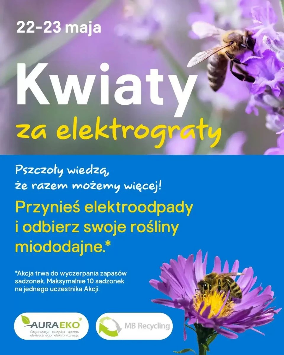 Strona 5 z gazetki Castorama