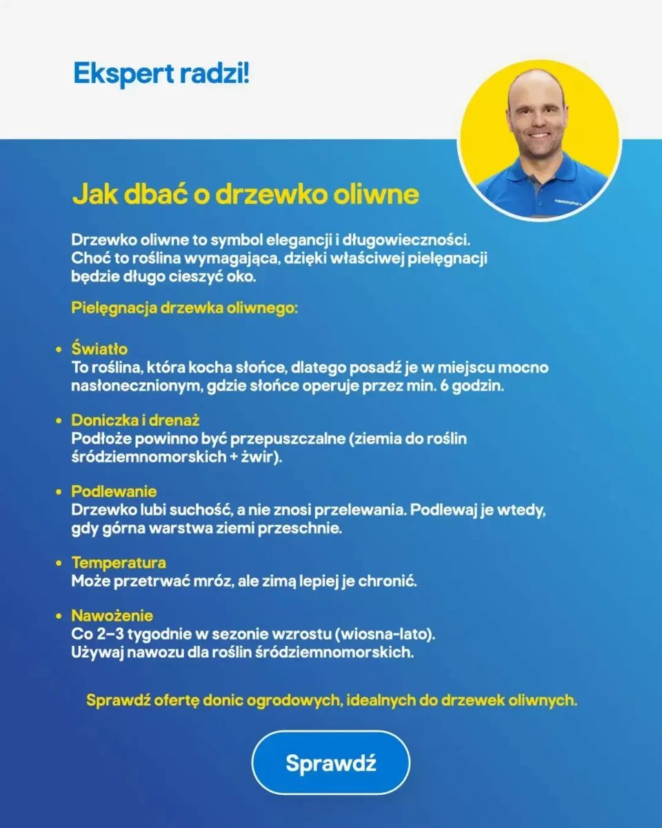 Strona 31 z gazetki Castorama