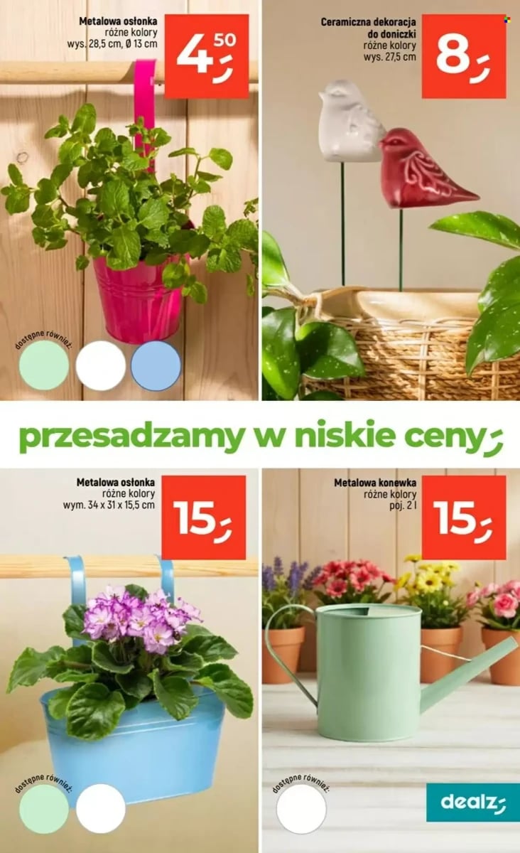 Strona 31 z gazetki Dealz