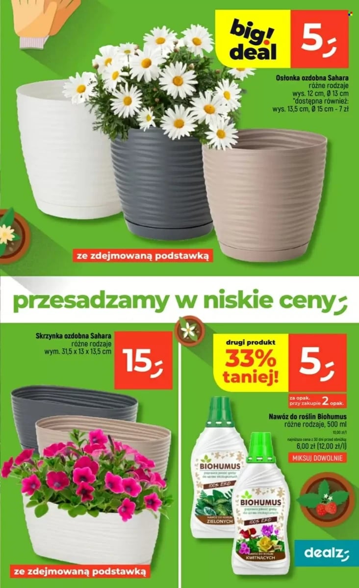 Strona 29 z gazetki Dealz