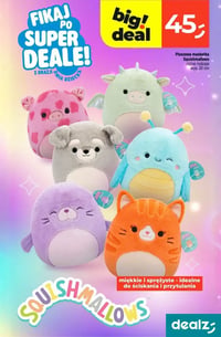 Gazetka Dealz – 22.05.2026 – 27.05.2026