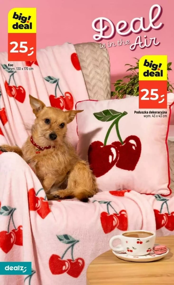 Strona 20 z gazetki Dealz