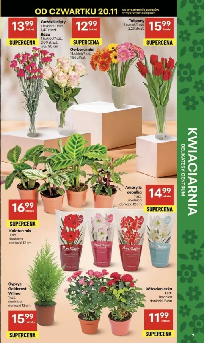 Strona 7 z gazetki Delikatesy Centrum