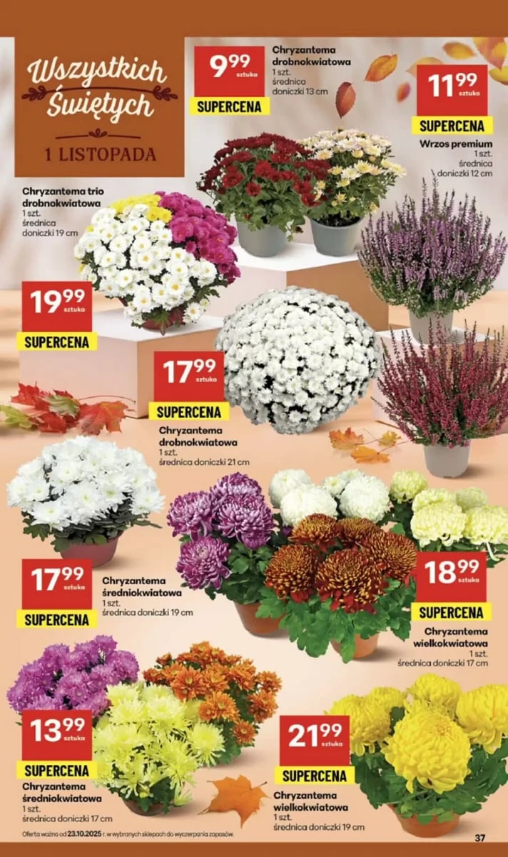 Strona 37 z gazetki Delikatesy Centrum
