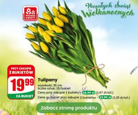 Gazetka Dino – 01.04.2026 – 01.04.2026