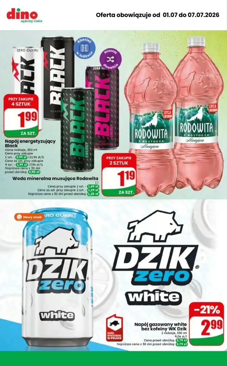 Strona 9 z gazetki Dino