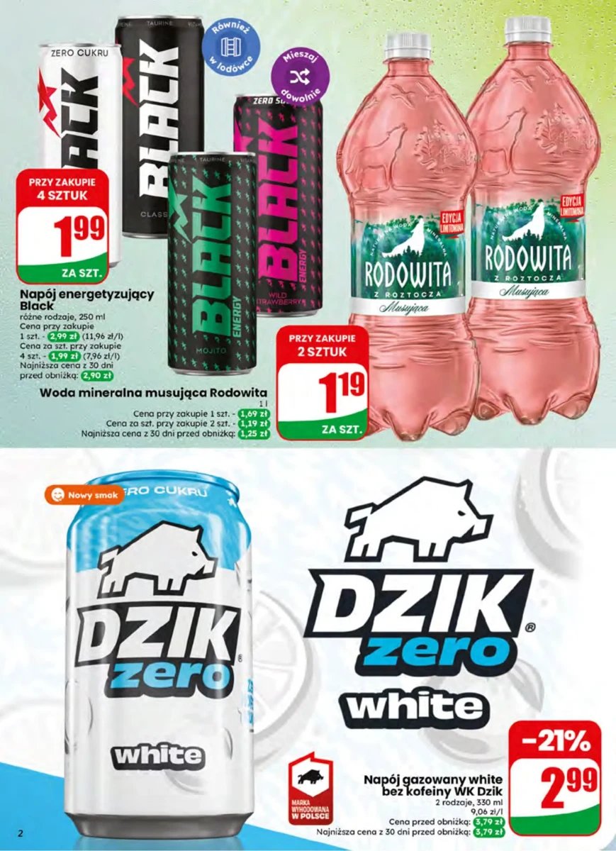 Strona 2 z gazetki Dino