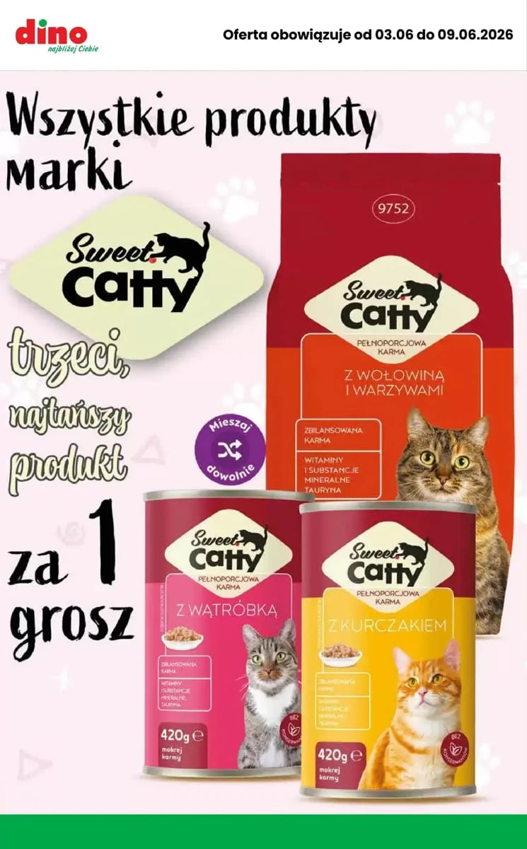 Strona 5 z gazetki Dino