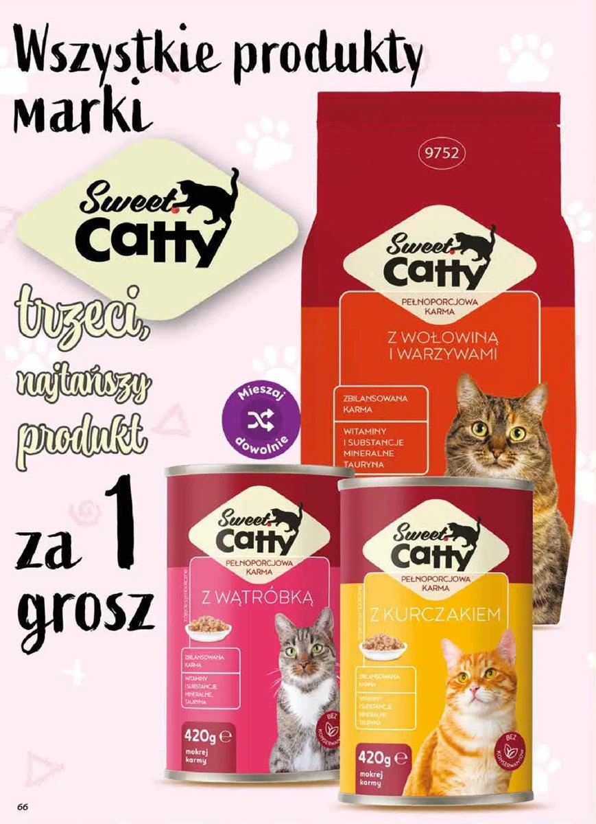 Strona 66 z gazetki Dino