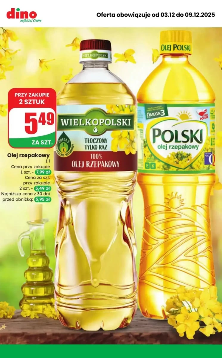 Strona 5 z gazetki Dino