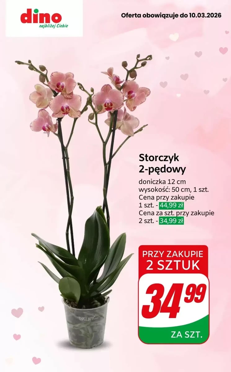 Strona 3 z gazetki Dino