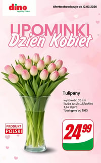 Gazetka Dino – 05.03.2026 – 10.03.2026