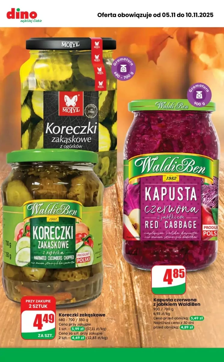 Strona 4 z gazetki Dino