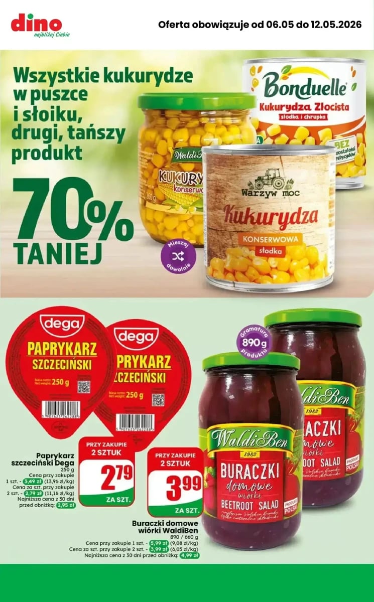 Strona 7 z gazetki Dino