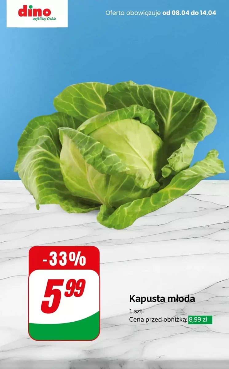 Strona 7 z gazetki Dino