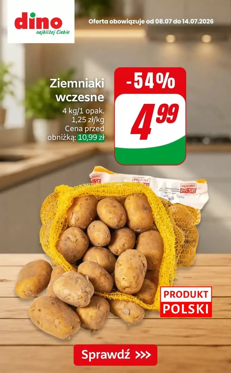 Strona 2 z gazetki Dino