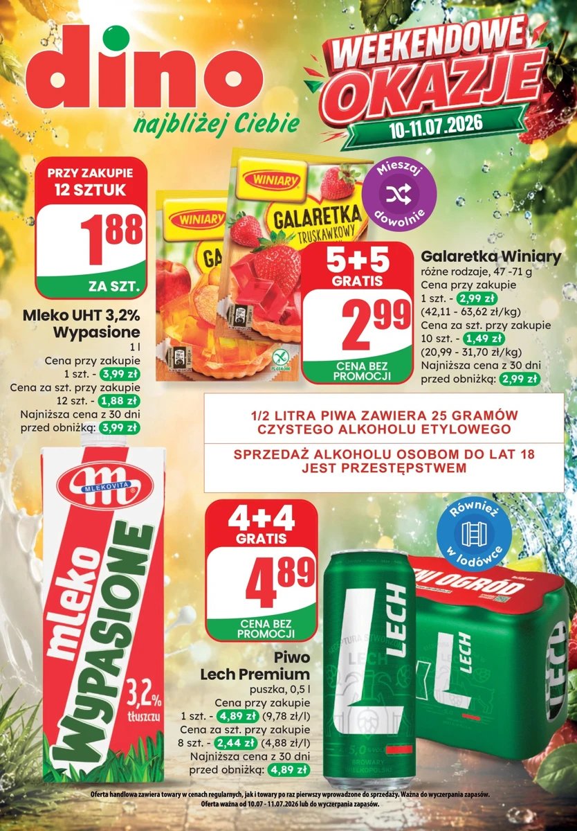Strona 1 z gazetki Dino