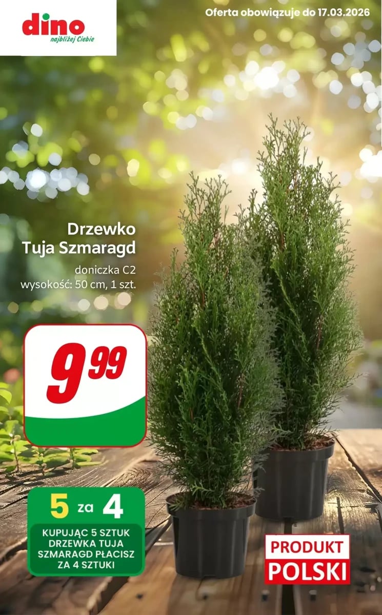 Strona 4 z gazetki Dino