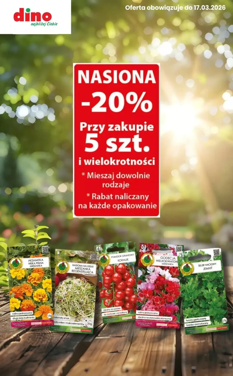 Strona 10 z gazetki Dino
