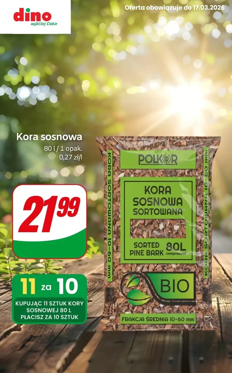 Strona 8 z gazetki Dino