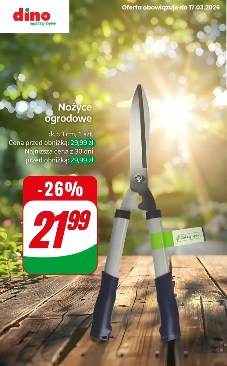 Strona 7 z gazetki Dino
