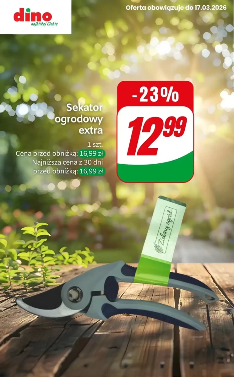 Strona 6 z gazetki Dino
