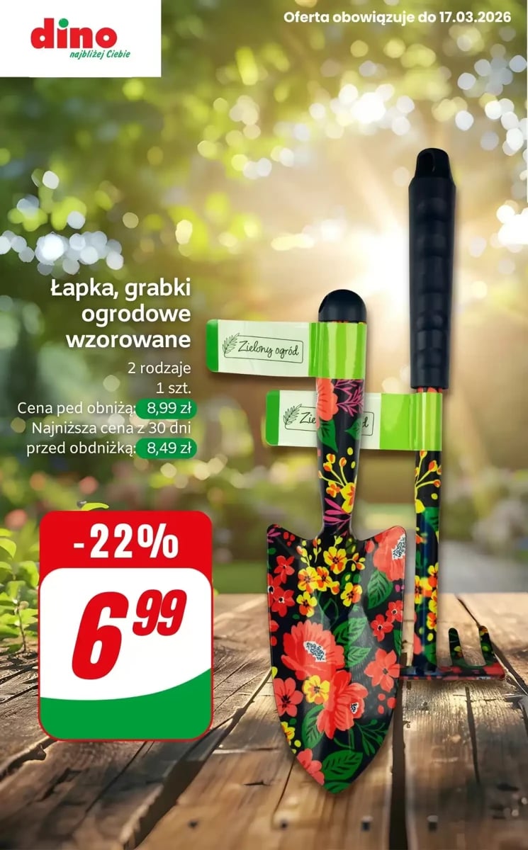 Strona 9 z gazetki Dino
